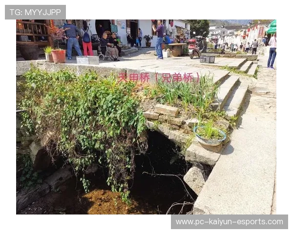 韩国足球队申姓球星的崛起与挑战 逐梦之路的背后故事 韩国足球队申姓球星的崛起与挑战 逐梦之路的背后故事